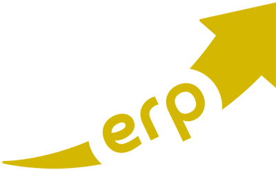 erp-icon