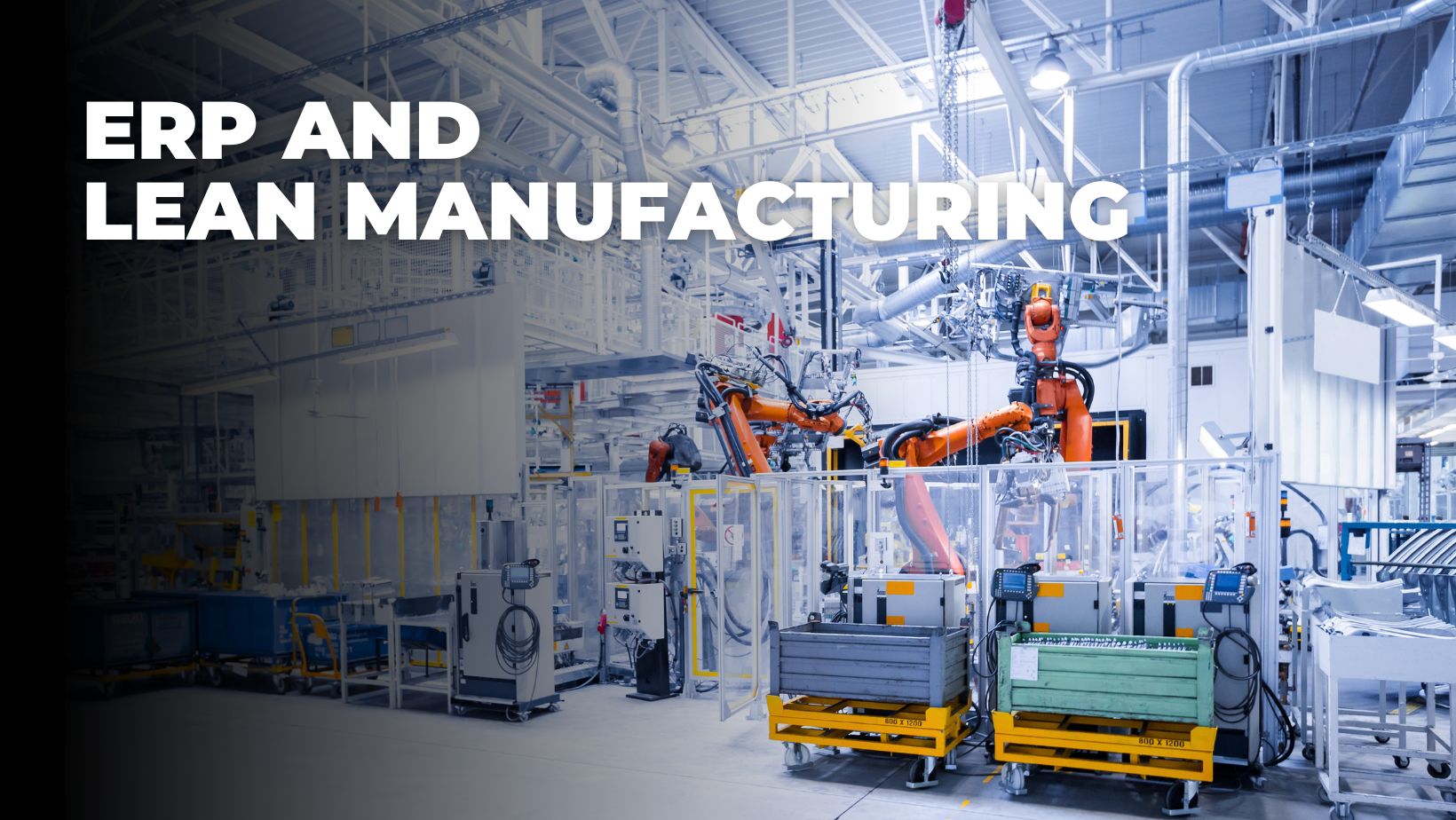 ERP and Lean Manufacturing