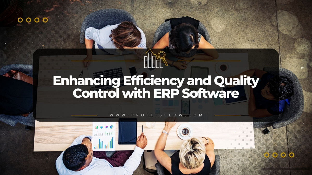 Enhancing Efficiency and Quality Control with ERP Software