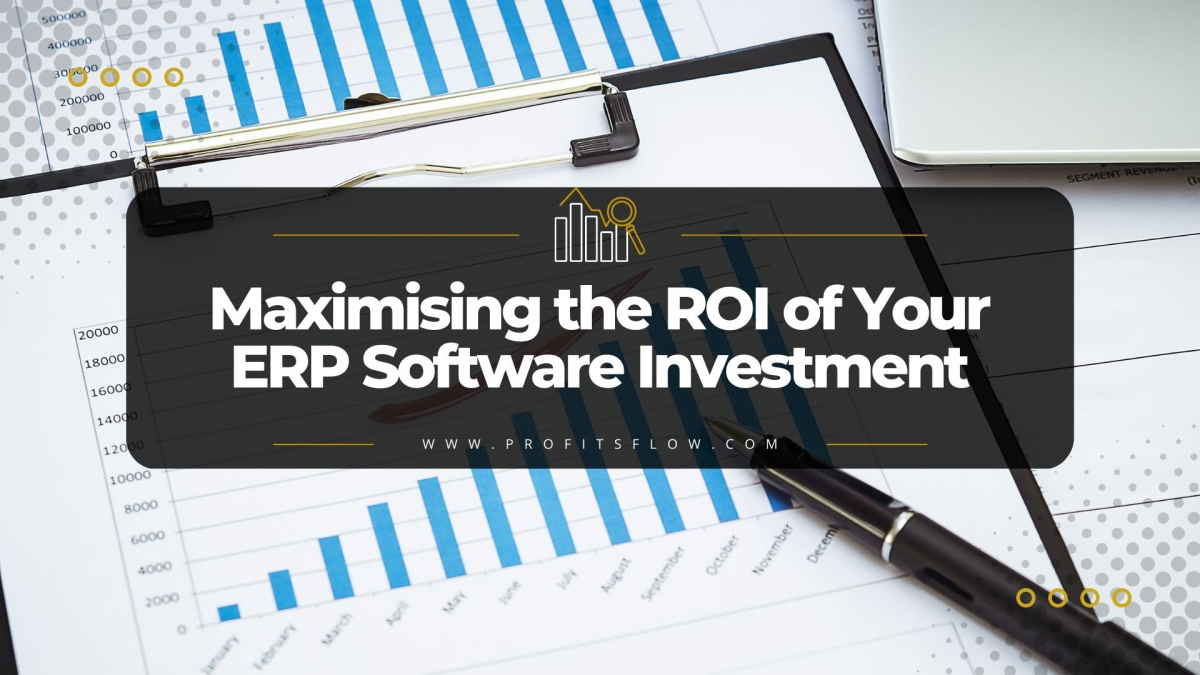 Maximising the ROI of your ERP Software Investment
