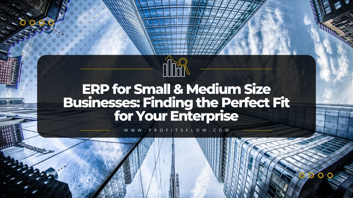 ERP for Small & Medium Size Businesses: Finding the Perfect Fit for Your Enterprise