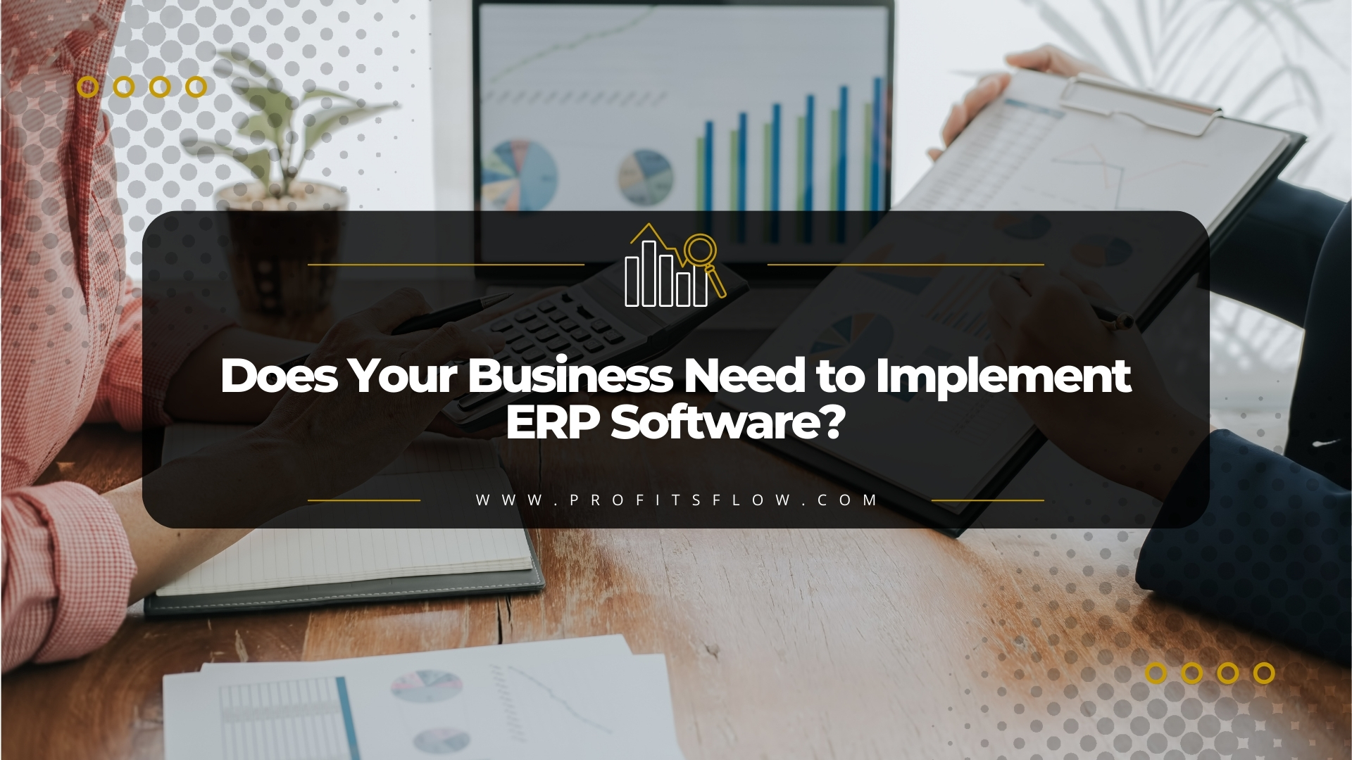 Implement ERP Software