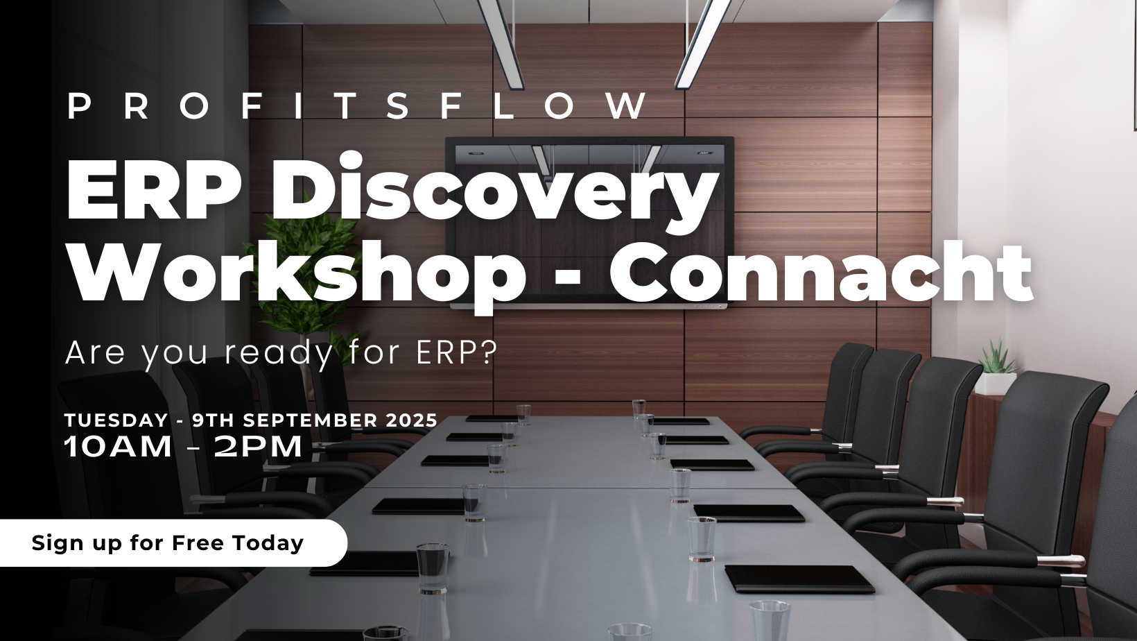 ERP Discovery Workshop - Connacht